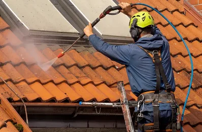 Démoussage et hydrofuge de toiture à Dondas